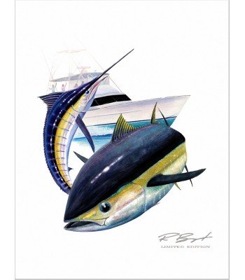 "Canyon Run" Sportfishing
